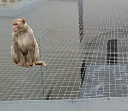 Balcony Safety Nets